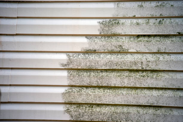 Best Yard Waste Removal  in West Monroe, LA