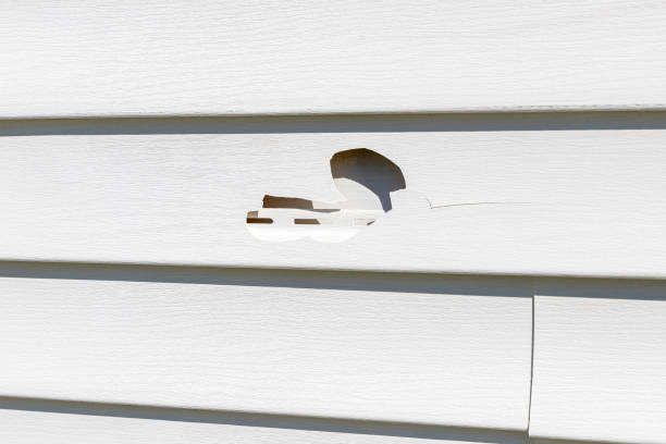 Trusted West Monroe, LA Junk Removal Experts